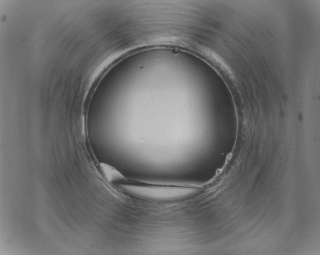 X0000074281324200609151842