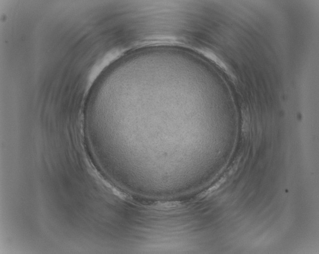 X0000074281325200609151842