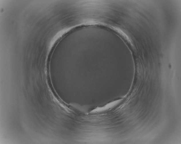 X0000074281327200609151842