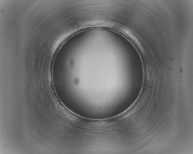 X0000074281328200609151842