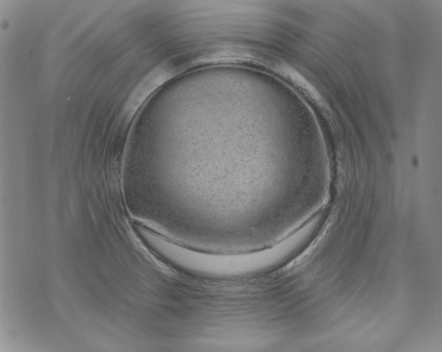 X0000074281329200609151842