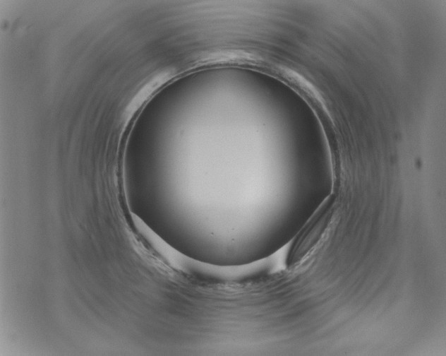 X0000074281330200609151842