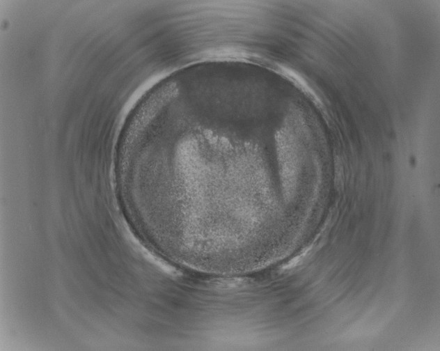 X0000074281331200609151842