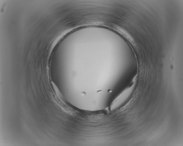 X0000074281332200609151842