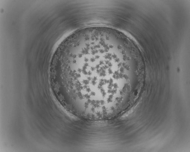 X0000074281333200609151842