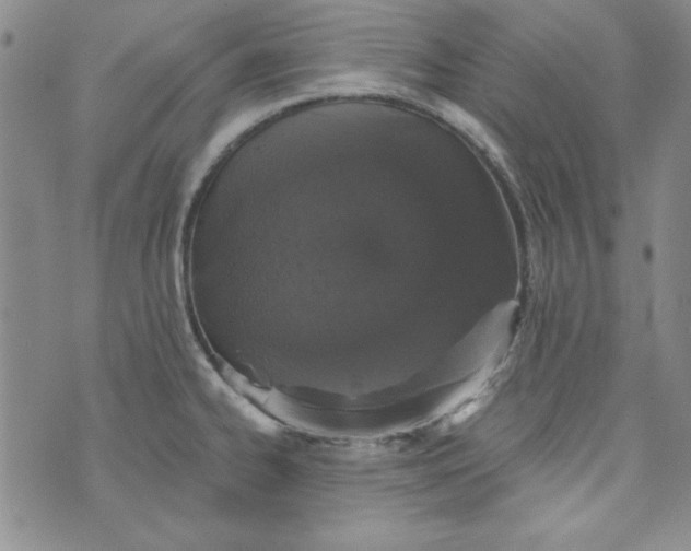 X0000074281334200609151842