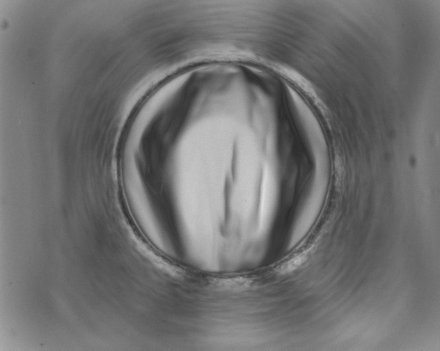 X0000074281335200609151842