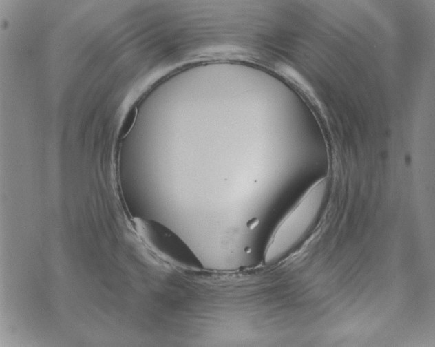 X0000074281336200609151842