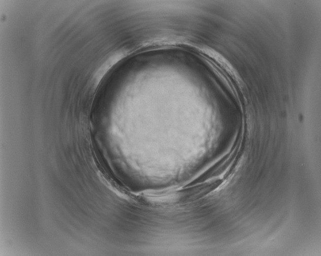 X0000074281337200609151842