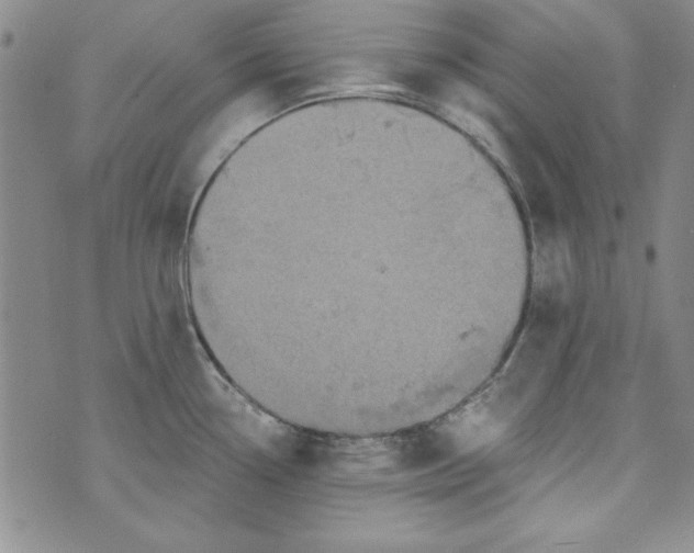 X0000074281338200609151842