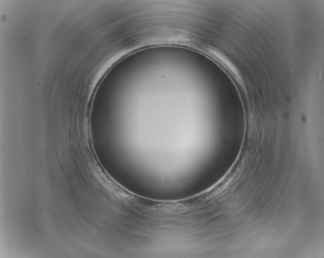 X0000074281340200609151842