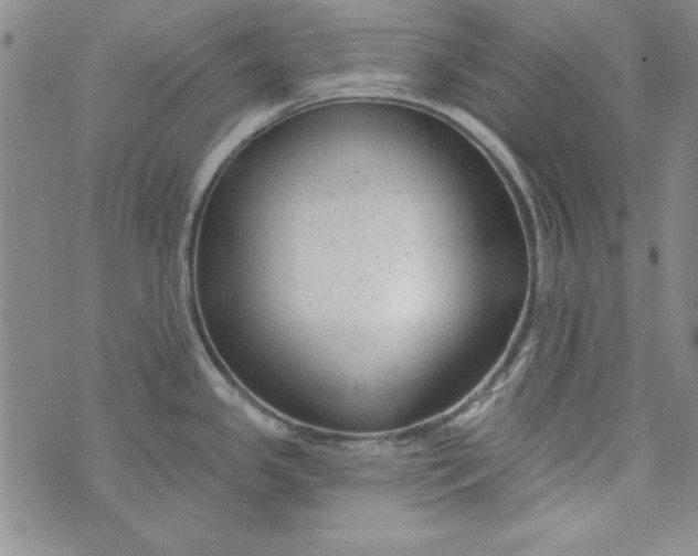 X0000074281341200609151842