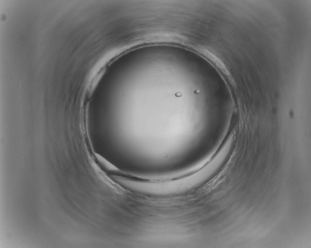 X0000074281342200609151842