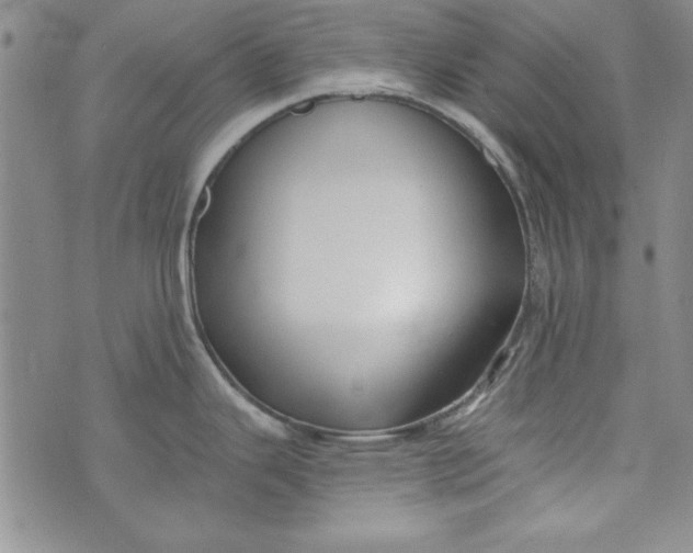 X0000074281343200609151842