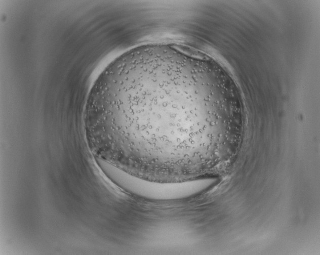 X0000074281344200609151842