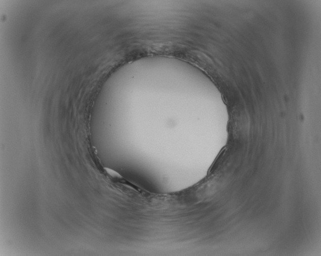 X0000074281345200609151841