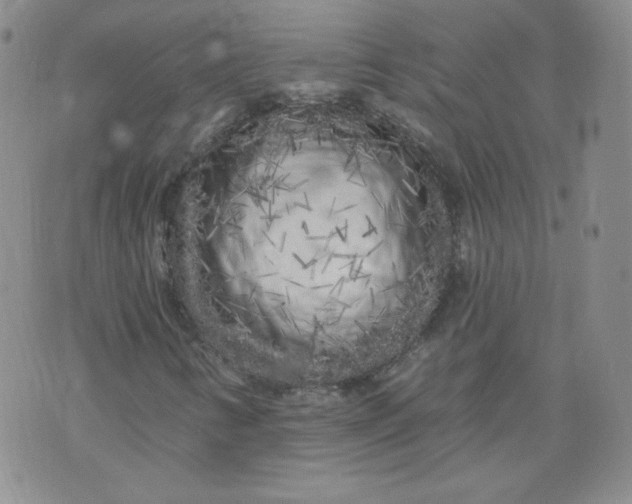 X0000074281346200609151841