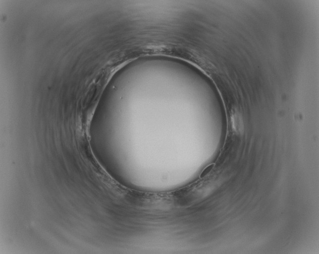 X0000074281347200609151841