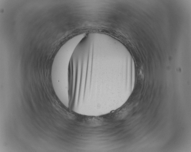 X0000074281348200609151841