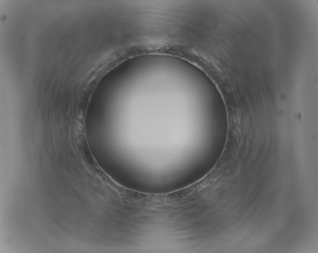 X0000074281349200609151841