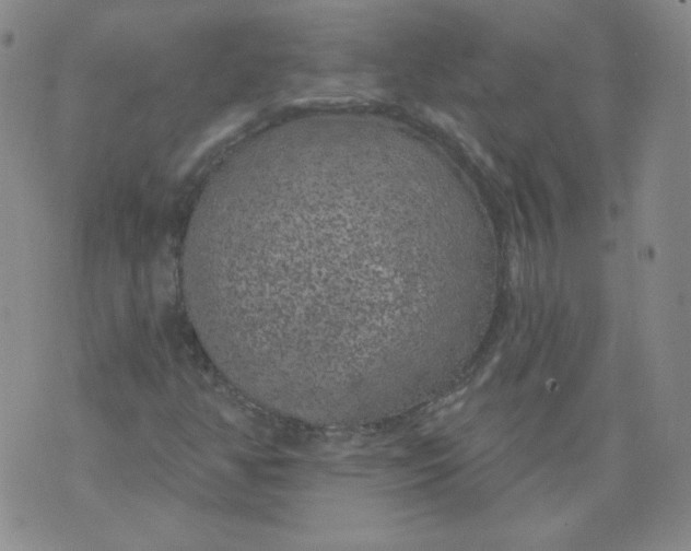 X0000074281350200609151841