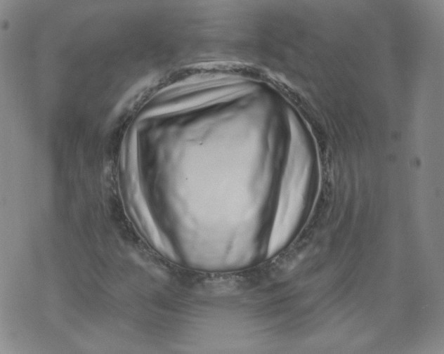 X0000074281351200609151841