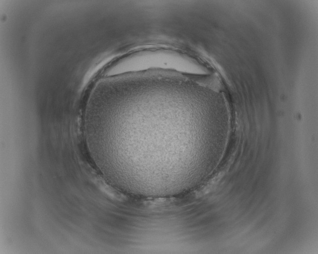 X0000074281352200609151841