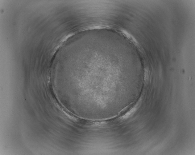 X0000074281353200609151841