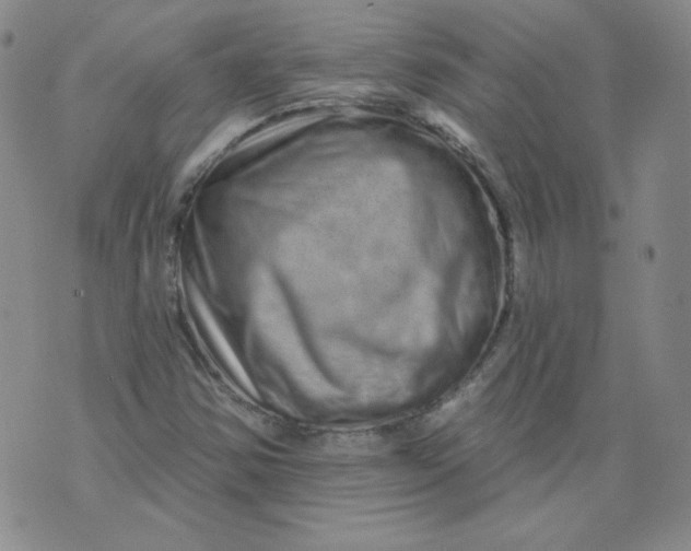 X0000074281354200609151841