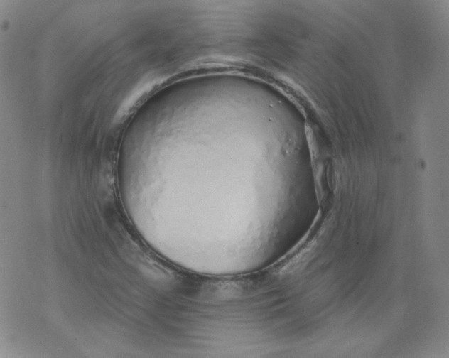 X0000074281355200609151841