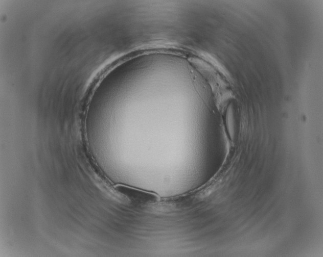 X0000074281356200609151841