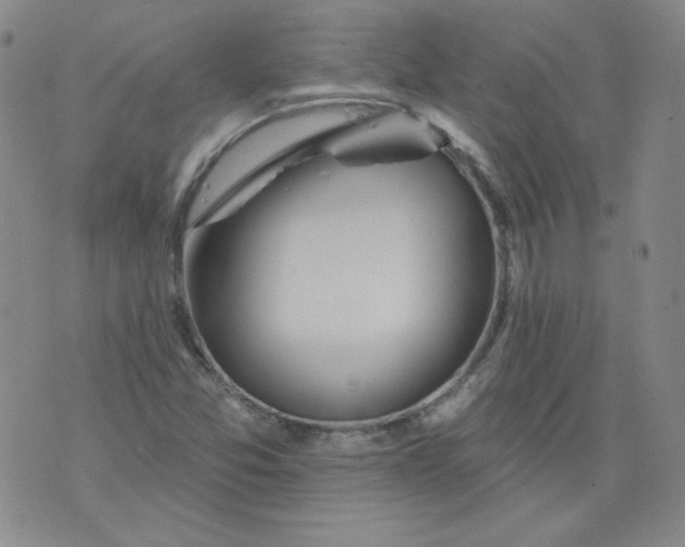 X0000074281357200609151841