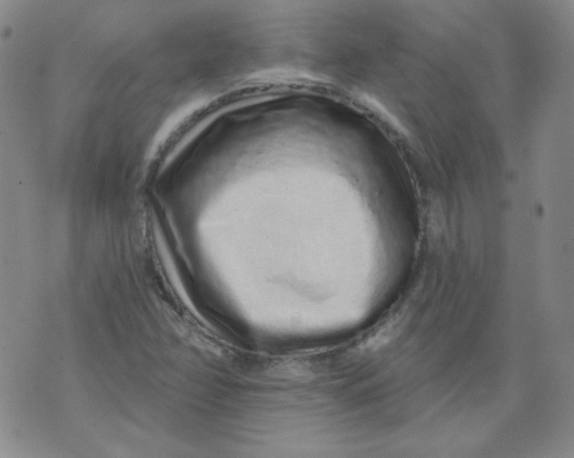 X0000074281358200609151841