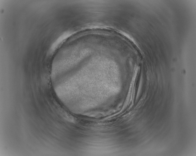 X0000074281359200609151841