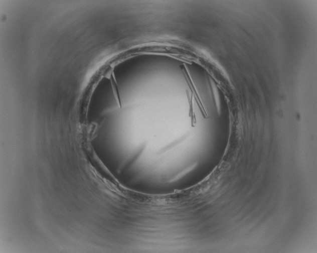 X0000074281360200609151841