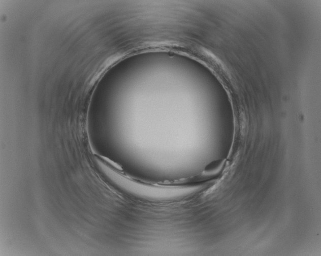 X0000074281361200609151841