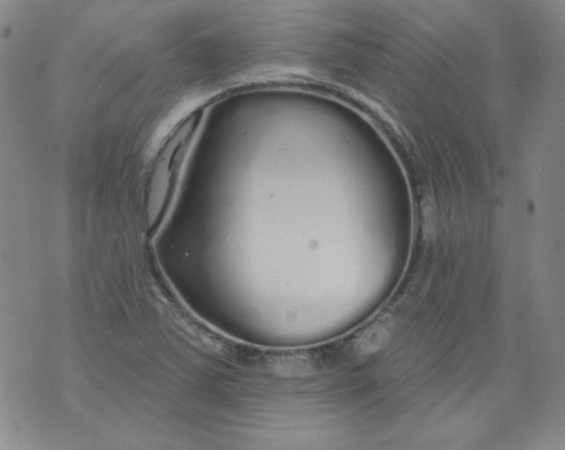 X0000074281363200609151841