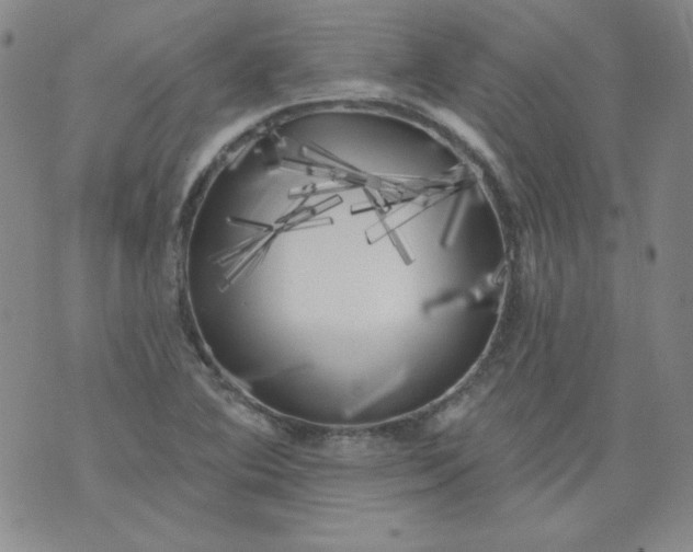 X0000074281364200609151841