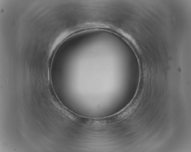 X0000074281365200609151841