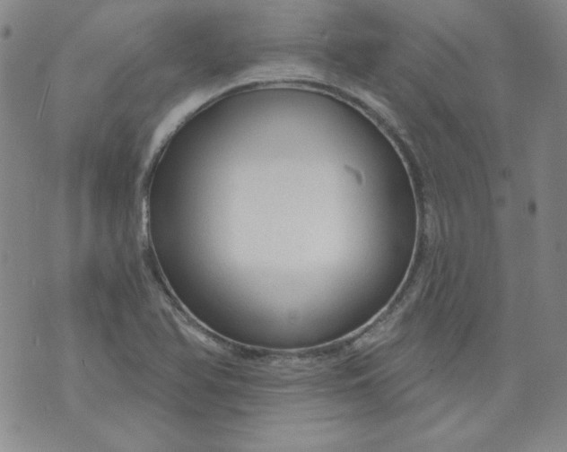 X0000074281366200609151841