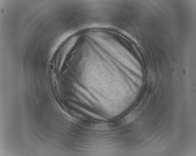 X0000074281367200609151841