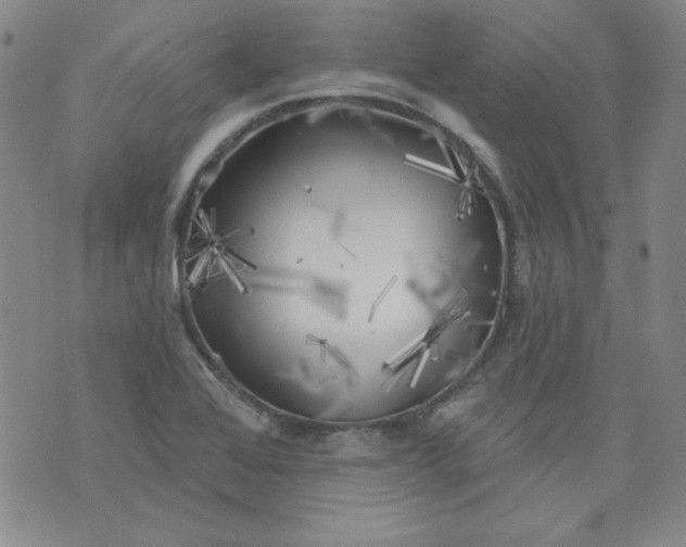 X0000074281368200609151841