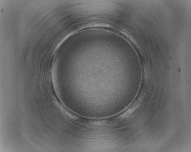 X0000074281369200609151841