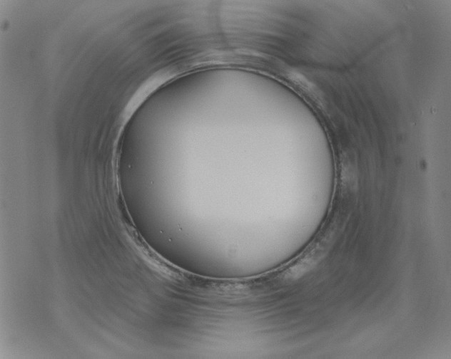 X0000074281370200609151841