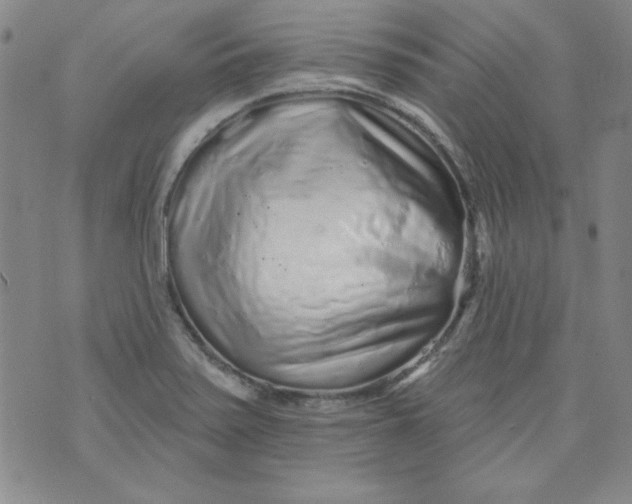 X0000074281371200609151841