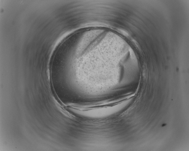 X0000074281372200609151841