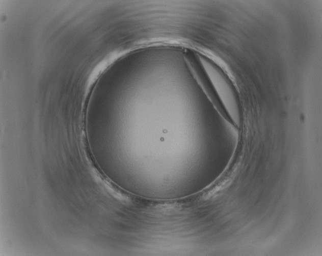 X0000074281373200609151841