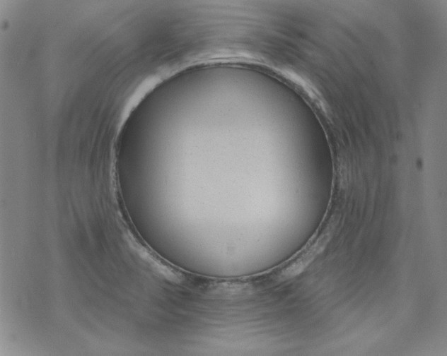 X0000074281374200609151841