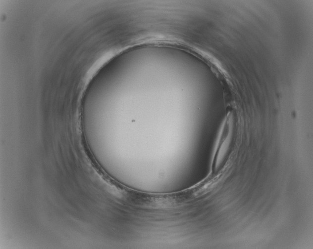 X0000074281375200609151841