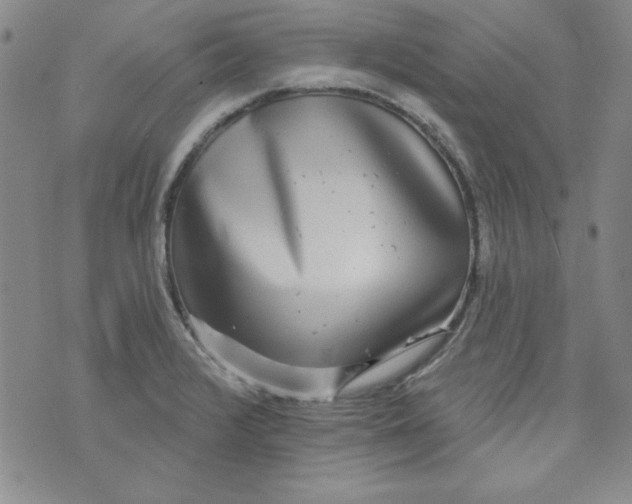 X0000074281376200609151841